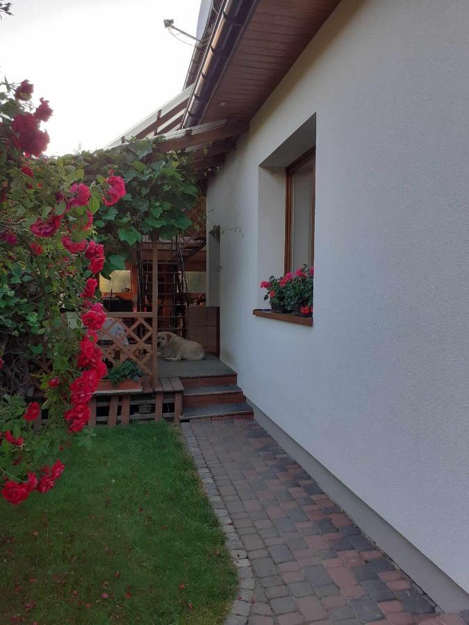 Agroturystyka Jagodowa Roza - Maria Farganus Mszana Dolna Exterior foto